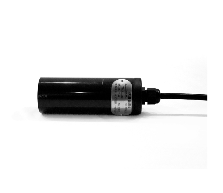 ER Corrosion Probe